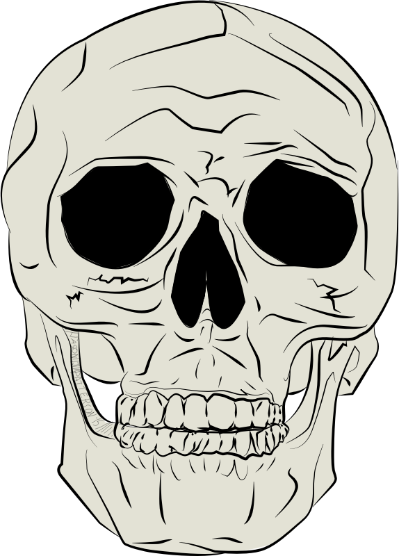 Humanskull PNG Images HD