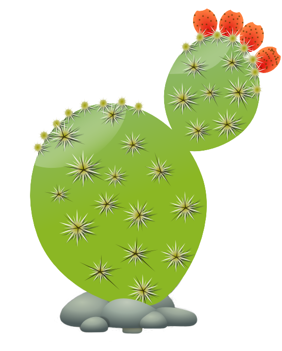 Isolated Cactus Download Free PNG