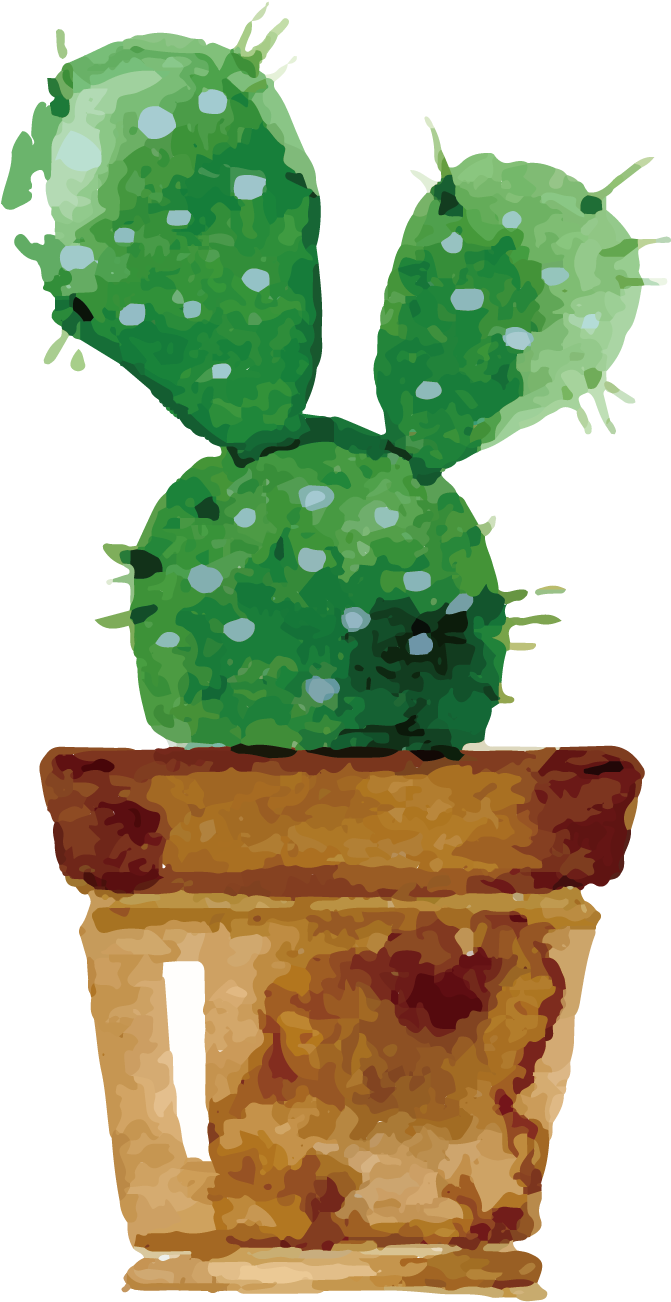 Isolated Cactus Free PNG