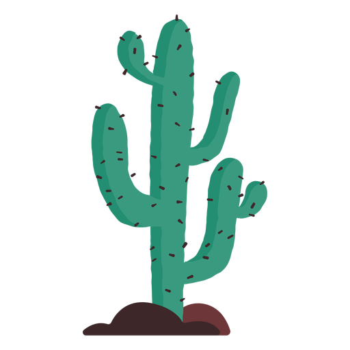 Isolated Cactus PNG Free File Download