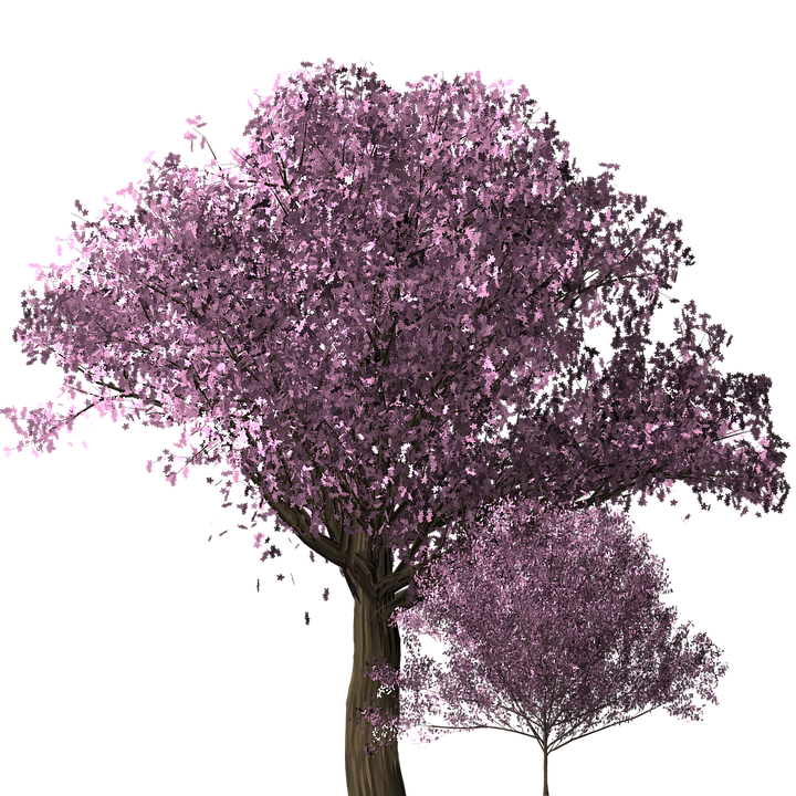 Japanese Flowers On Tree Download Free PNG