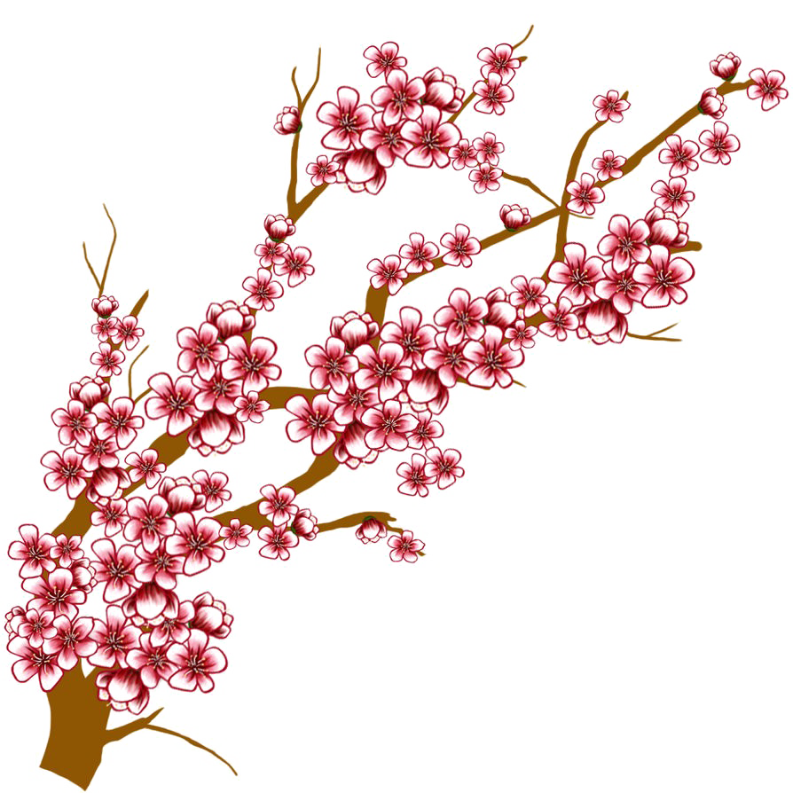 Japanese Flowers On Tree PNG HD Quality