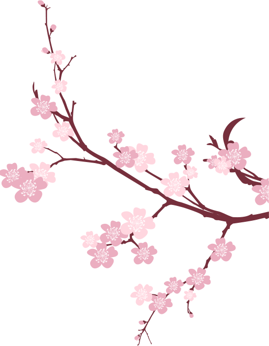 Japanese Flowers On Tree PNG Photo Image