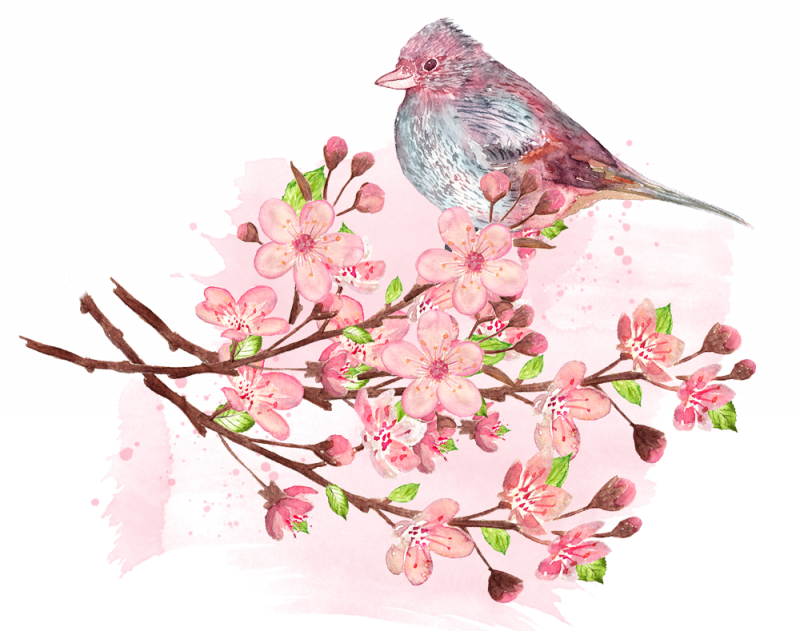 Japanese Flowers On Tree Transparent Free PNG