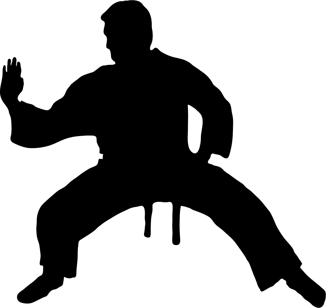 Karate Silhouette Background PNG Image