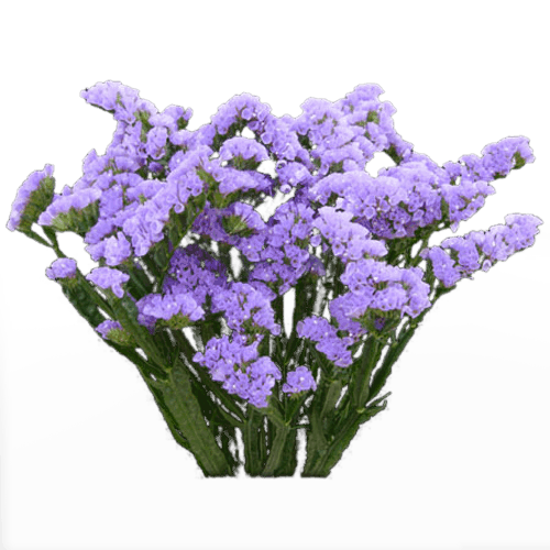 Lavender Transparent File