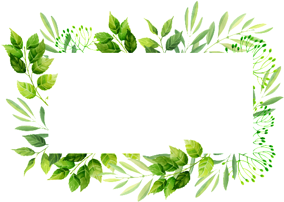 Leaves Frame PNG HD Quality
