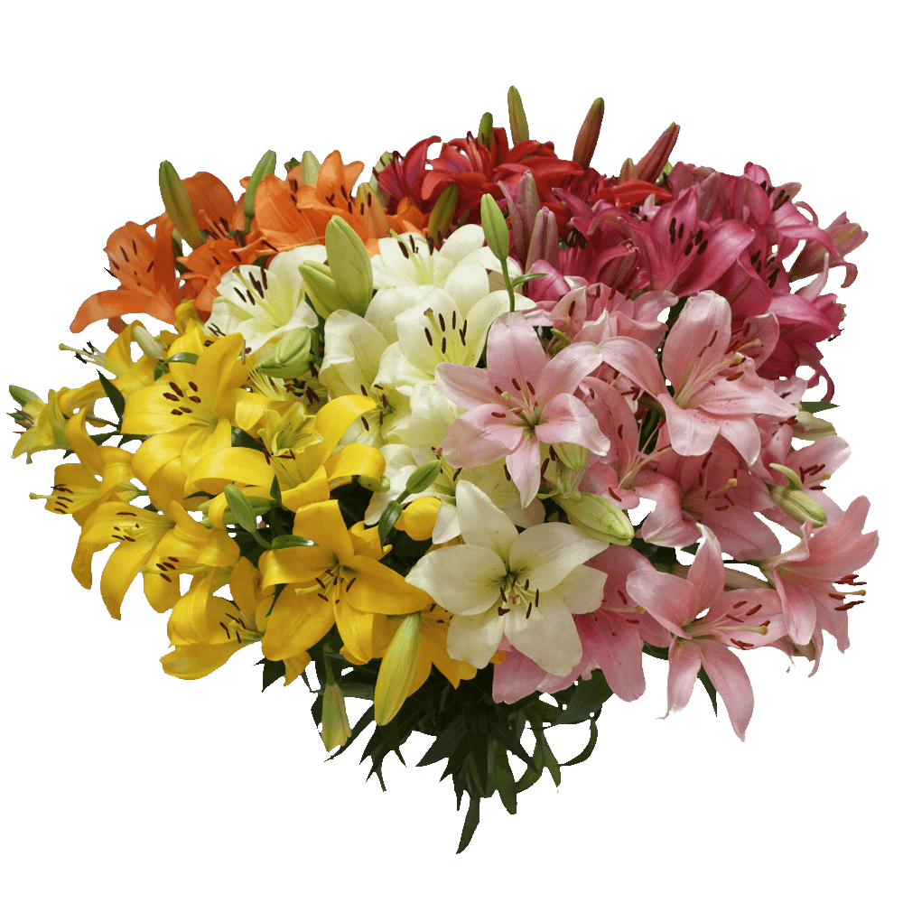 Lilies Transparent Image