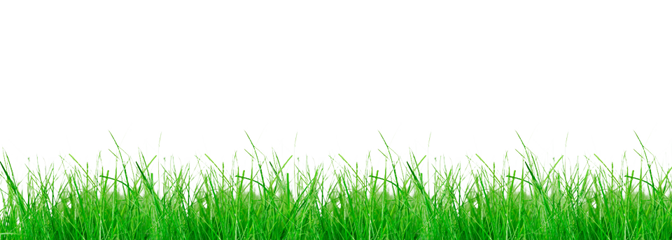 Line Of Grass Free PNG