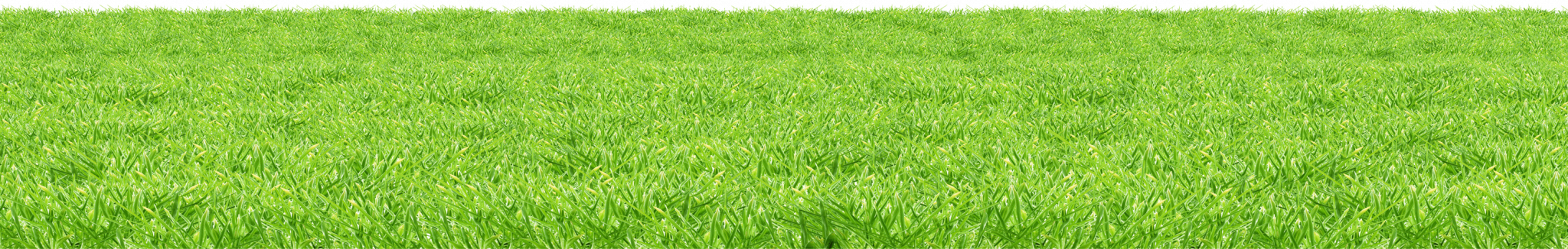 Line Of Grass PNG Clipart Background
