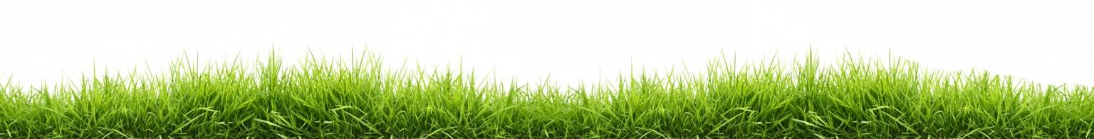 Line Of Grass PNG Images HD