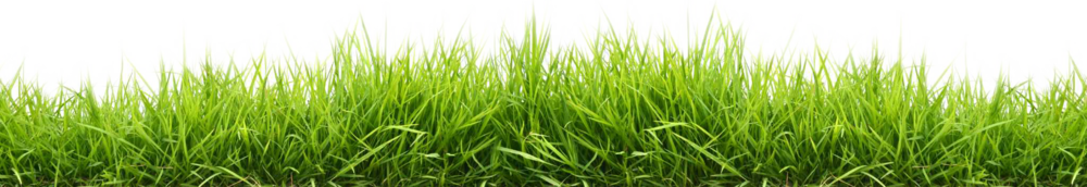 Line Of Grass Transparent Background