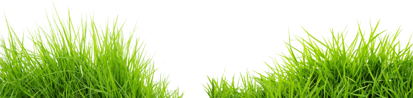 Line Of Grass Transparent Free PNG