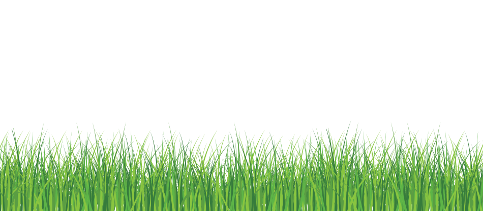 Line Of Grass Transparent Image