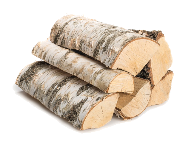 Logs Transparent File