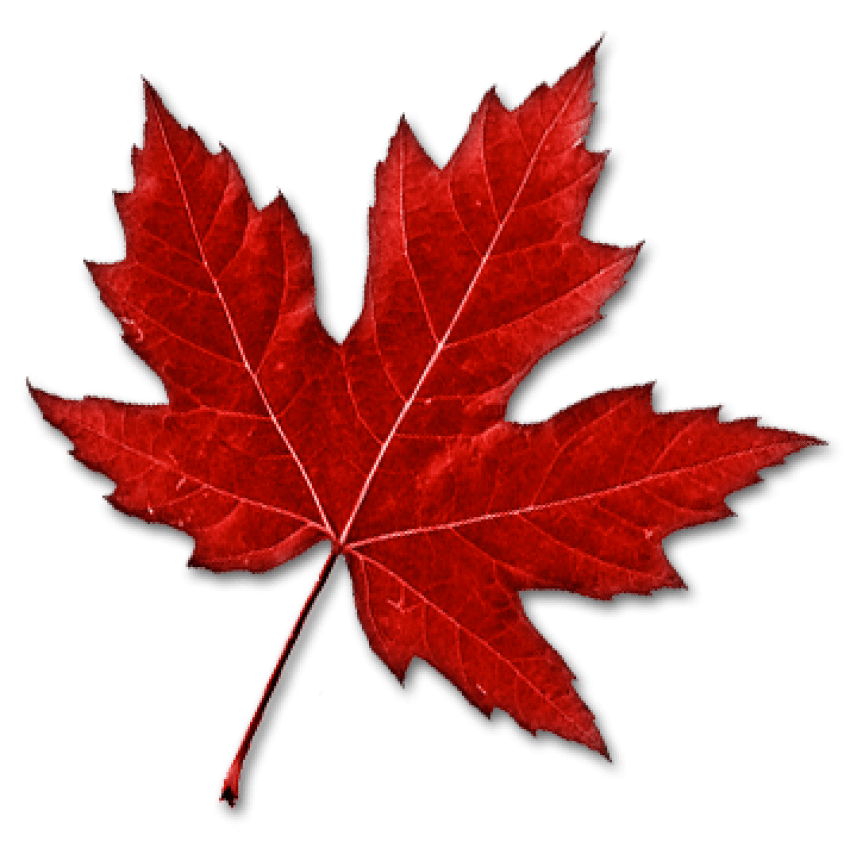Maple Leaf Canada Transparent File