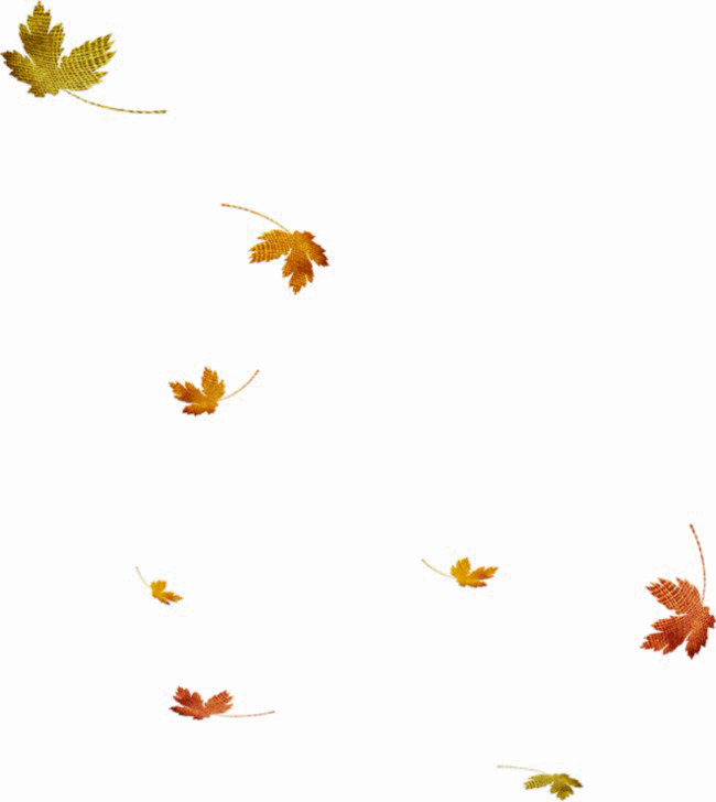 Maple Leaf Falling Background PNG Image