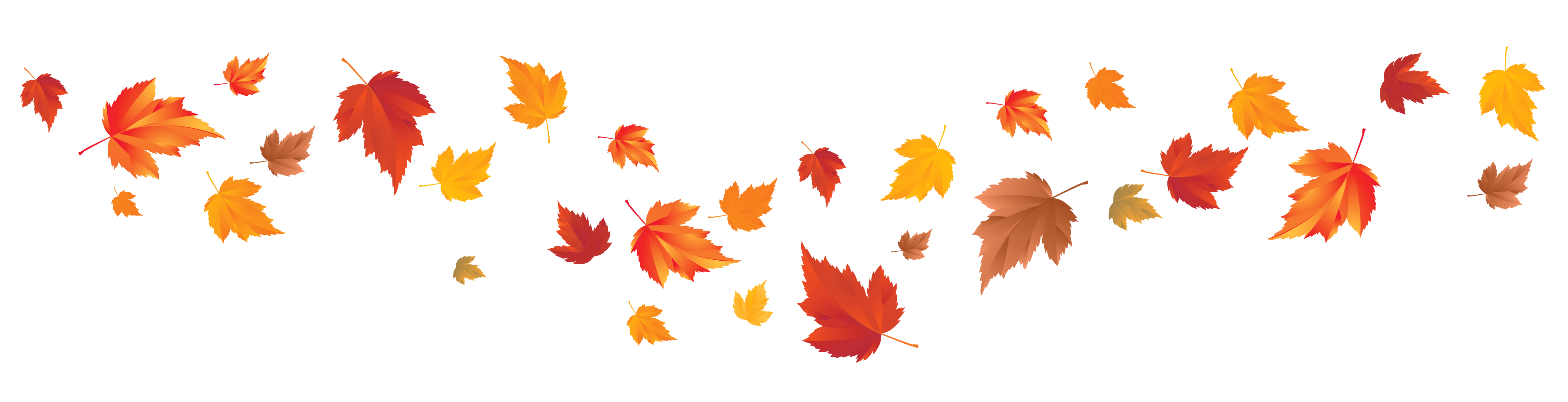 Maple Leaf Falling Download Free PNG