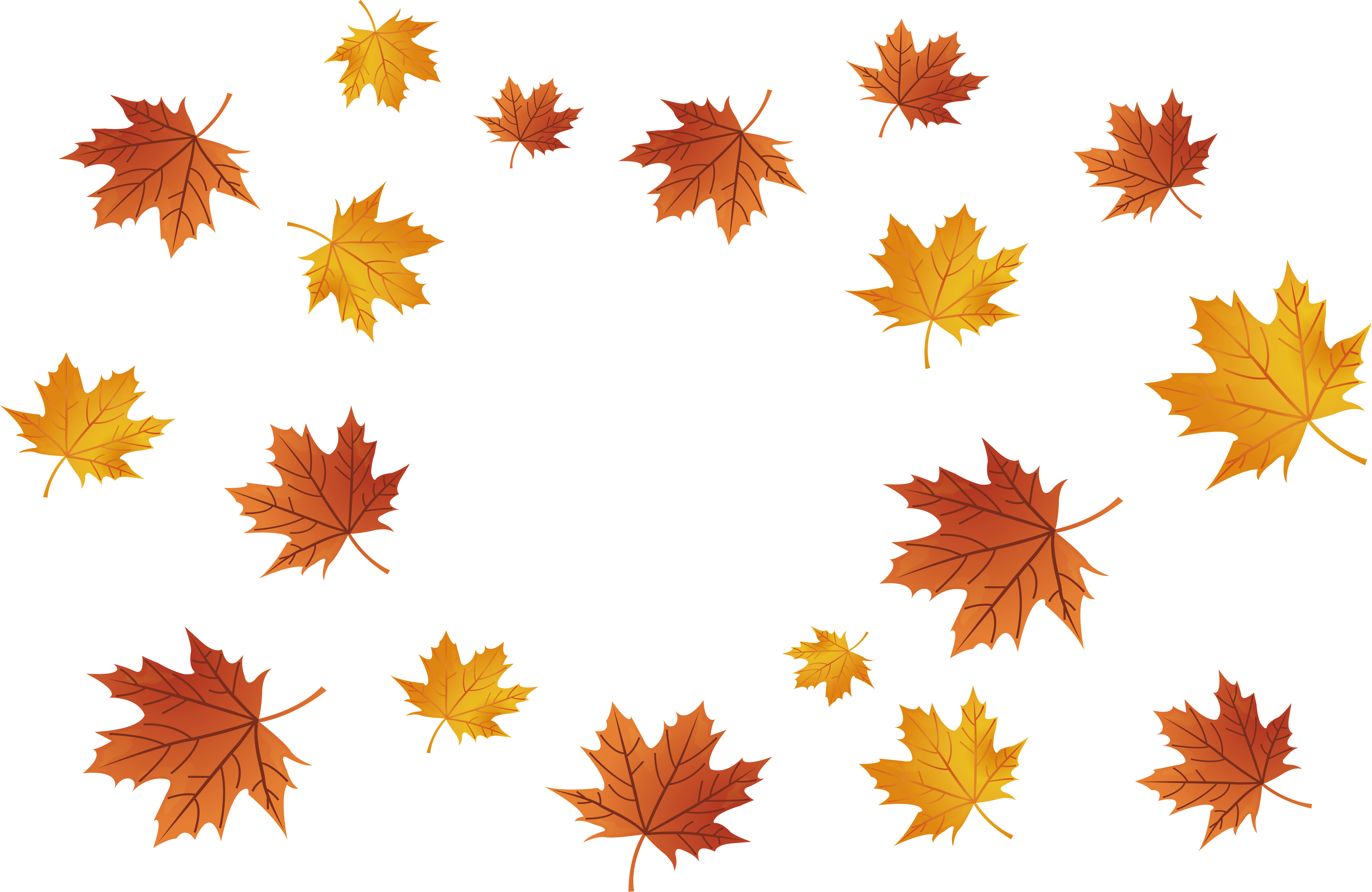 Maple Leaf Falling PNG Background