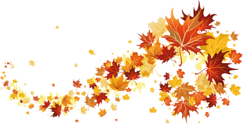 Maple Leaf Falling PNG Free File Download