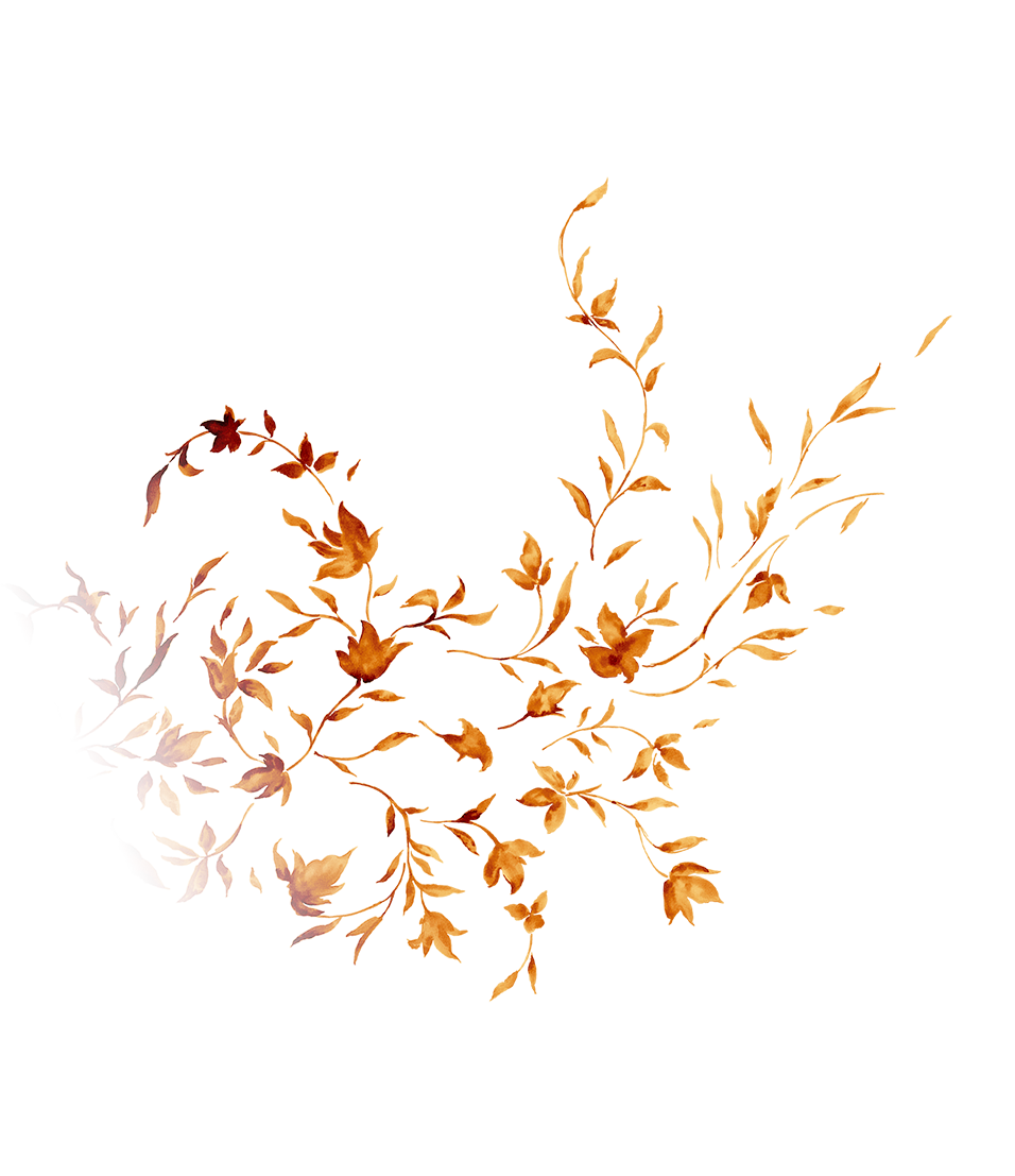 Maple Leaf Falling PNG Images HD