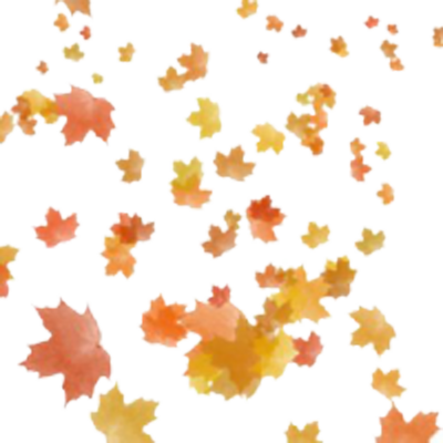 Maple Leaf Falling Transparent File