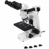 Meiji Microscope Transparent Image
