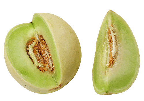 Melons PNG Photos