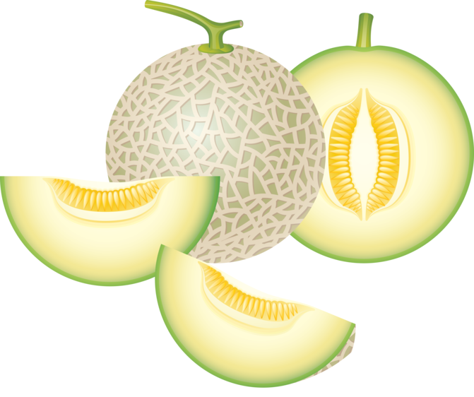 Melons Transparent File