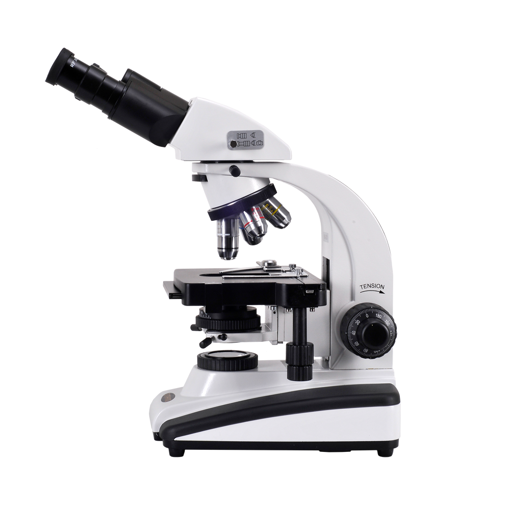 Microscope Celestron Transparent File