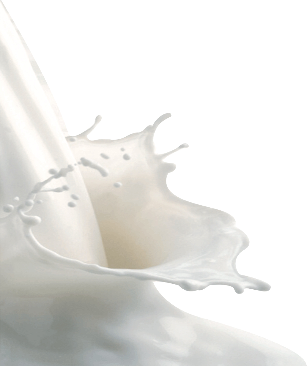 Milk Splatter Transparent Free PNG