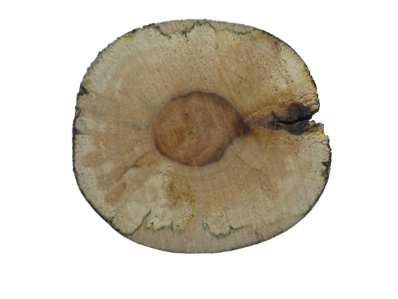 Mini Log Slices Background PNG Image