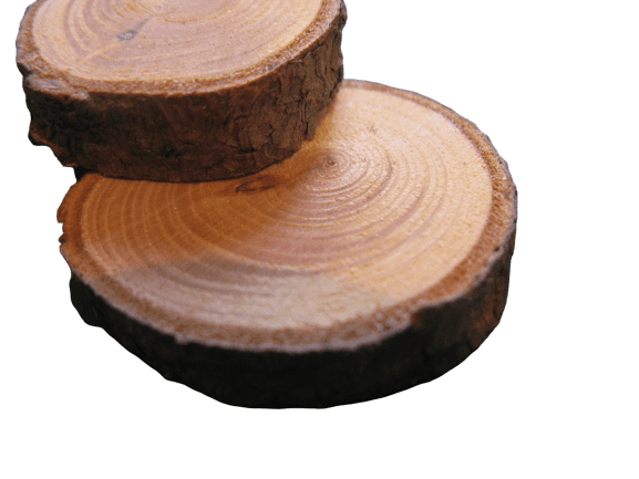 Mini Log Slices PNG HD Quality