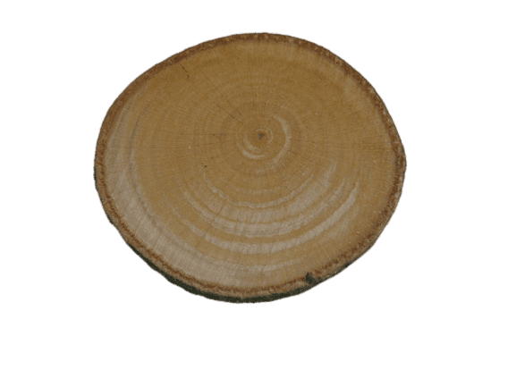 Mini Log Slices PNG Photos