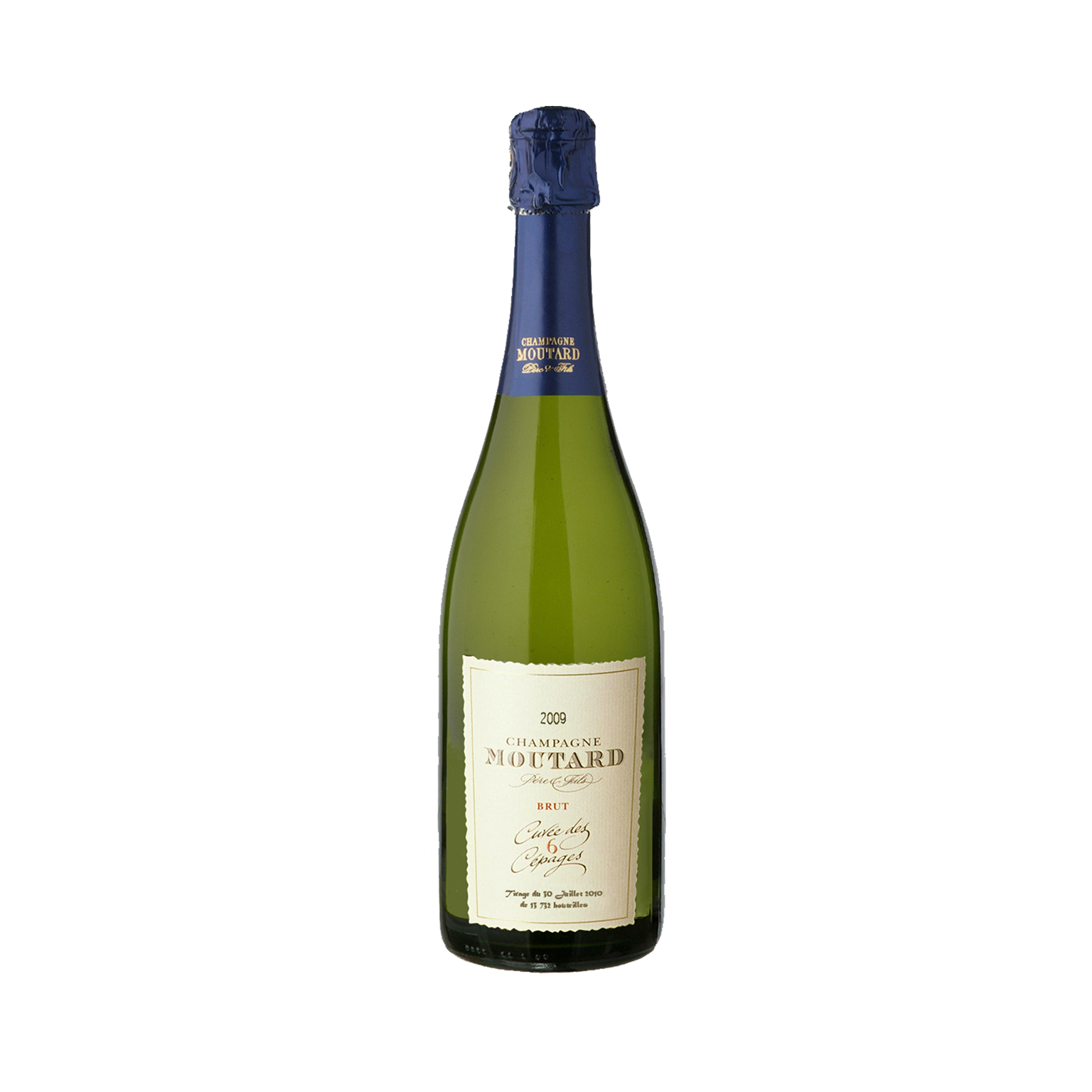 Moutard Brut Download Free PNG