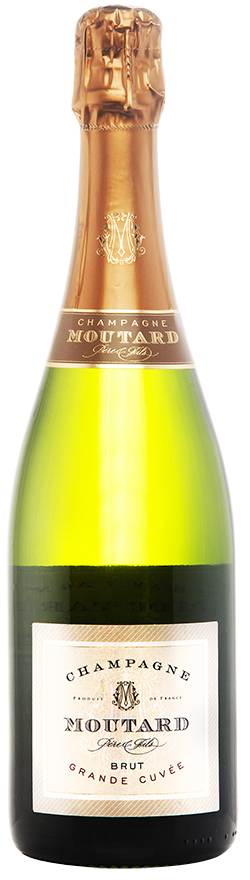 Moutard Brut PNG HD Quality