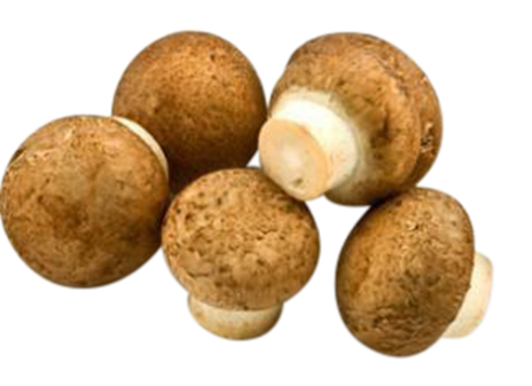 Mushroom Brown Transparent Images