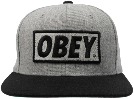 Obey Cap Free PNG