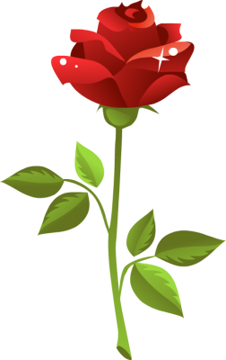 One Rose And Leaves Background PNG Image