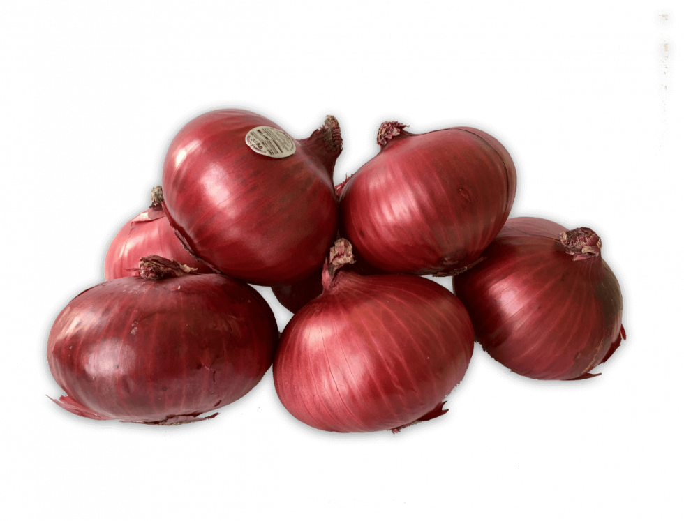 Onions Background PNG Image