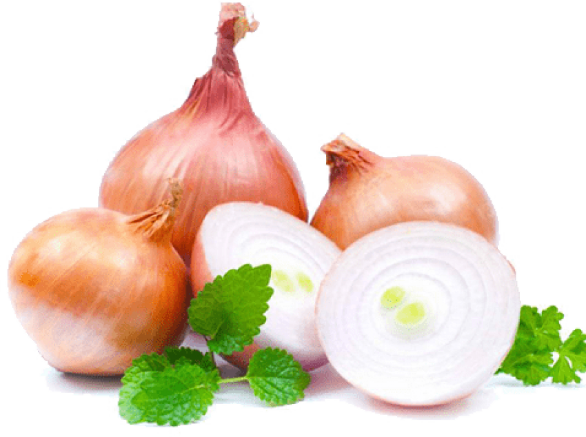 Onions Download Free PNG