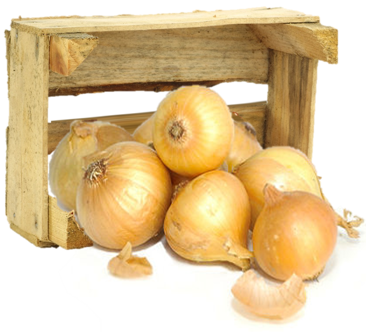 Onions PNG Background