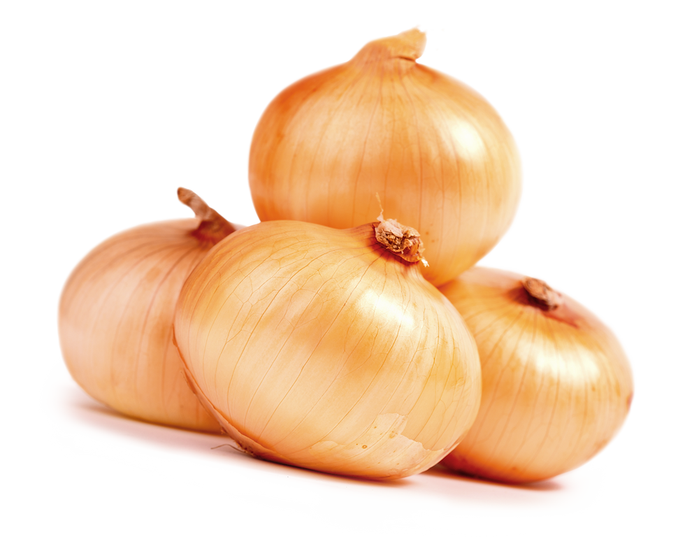 Onions PNG Photos