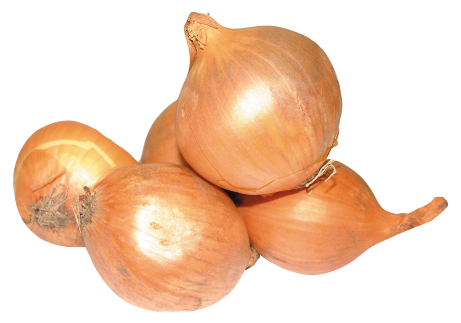 Onions Transparent Free PNG