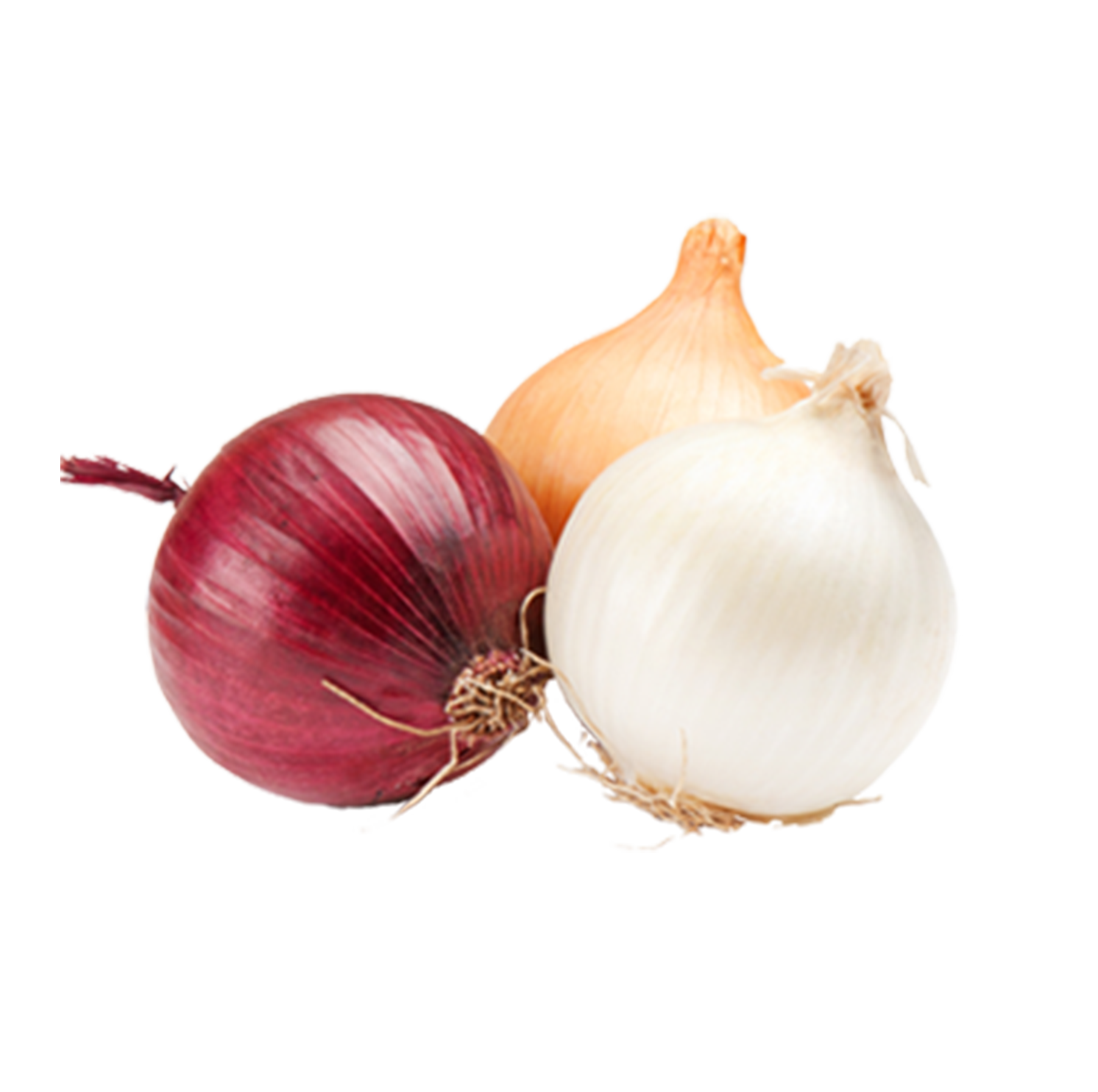 Onions Transparent PNG