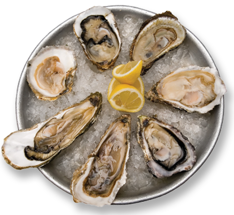 Open Oysters Transparent File