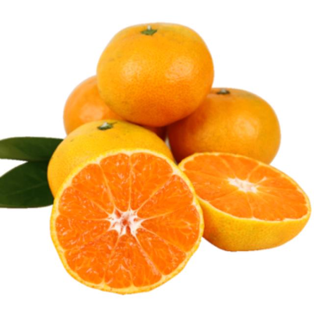 Oranges Transparent Free PNG