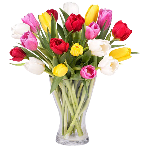 Orchid And Tulips Bouquet Transparent File