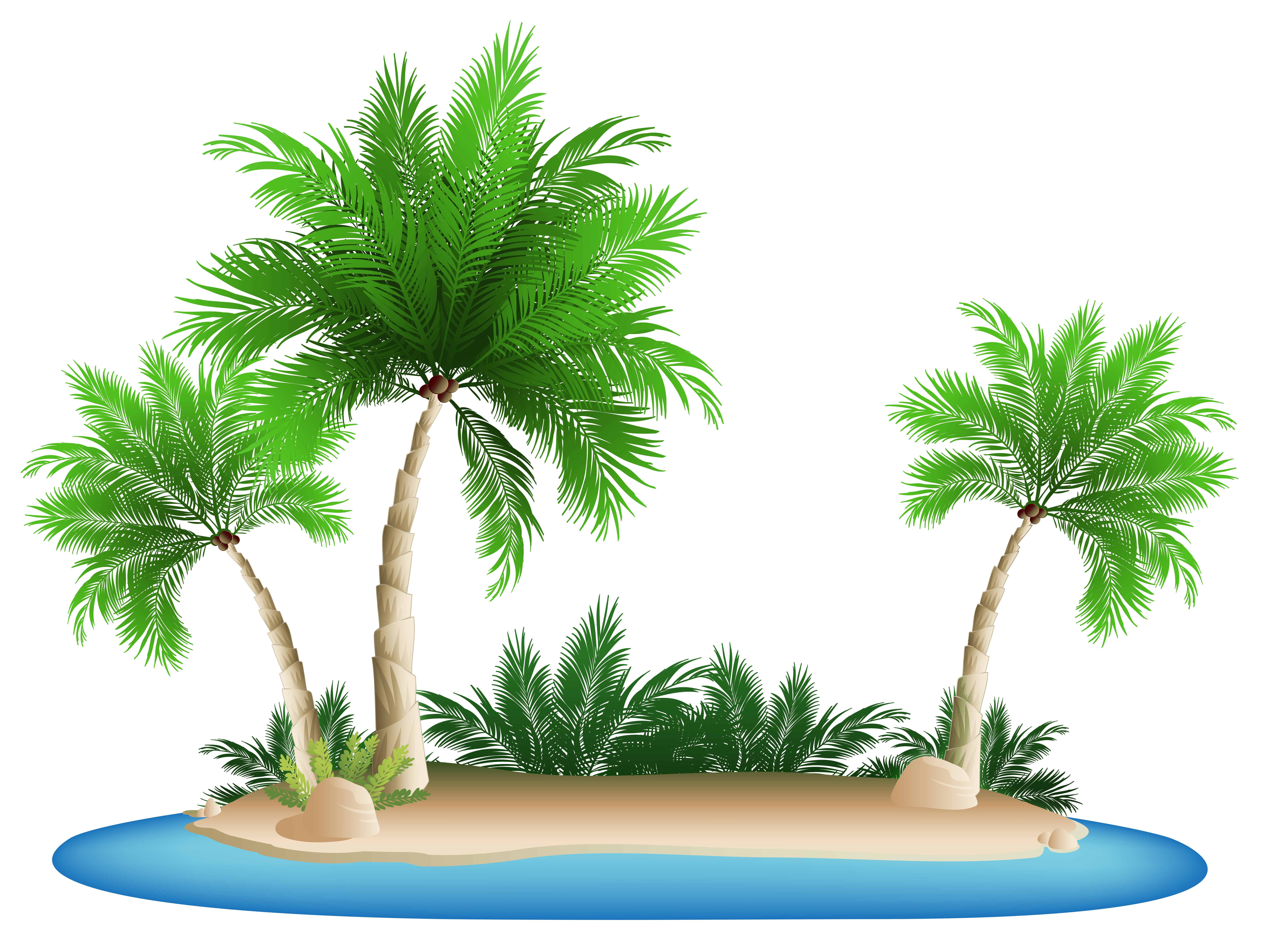 Palm Trees On Island Download Free PNG