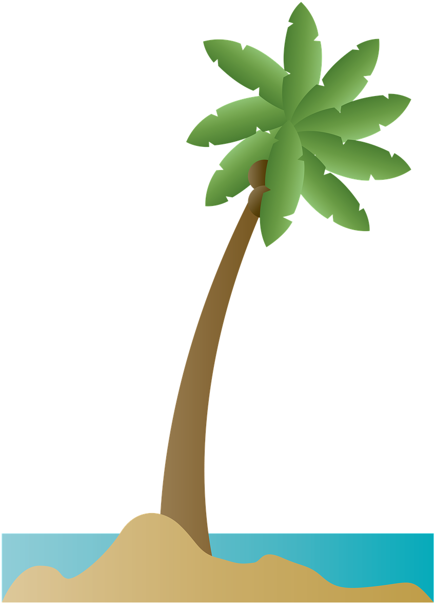 Palm Trees On Island PNG HD Quality